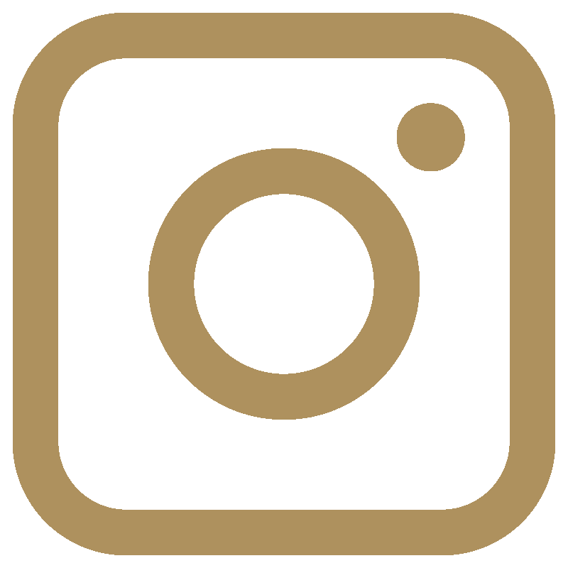 Link zu Instagram der Logopdie Erbse
